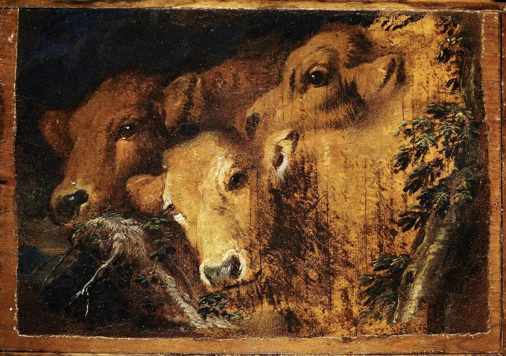 Studio di teste di mucche - Musei di Strada Nuova, Palazzo Rosso, Genova